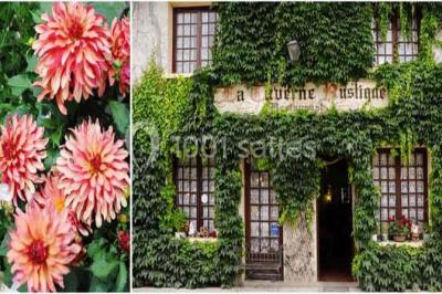 La Taverne Rustique La Taverne Rustique