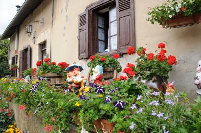 Location salle Saint-Chef (Isère) - La Taverne Rustique #19