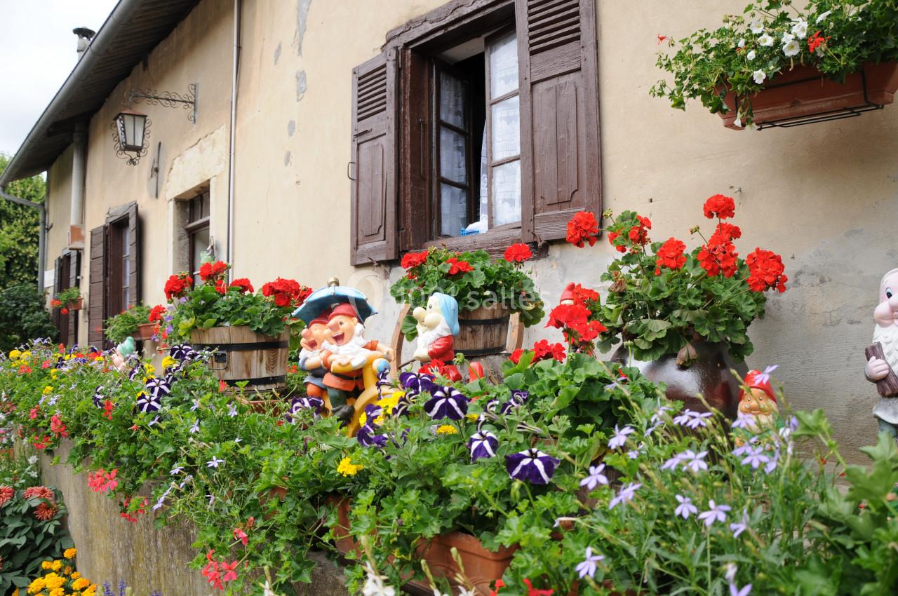 Location salle Saint-Chef (Isère) - La Taverne Rustique #18