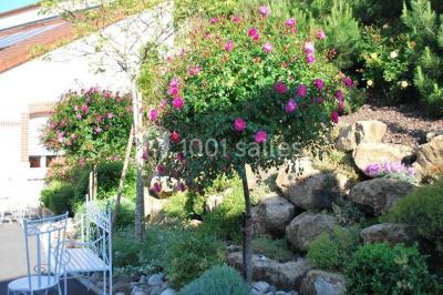 Location salle Trépail (Marne) - Pré En Bulles #20