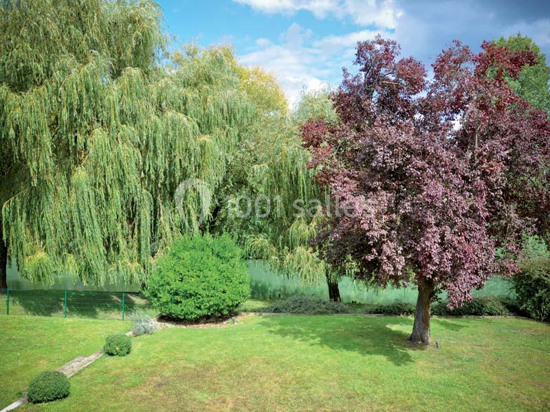 Location salle Poincy (Seine-et-Marne) - Le Moulin De Poincy #17