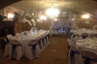 Chemin de terre bordé d'arbres verdoyants dans un paysage naturel calme.