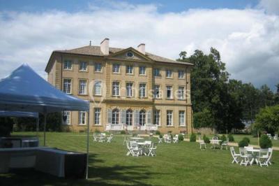 Chemin de terre bordé d'arbres verdoyants dans un paysage naturel calme.