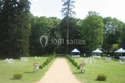 Chemin de terre bordé d'arbres verdoyants dans un paysage naturel calme.