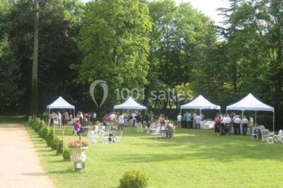 Chemin de terre bordé d'arbres verdoyants dans un paysage naturel calme.