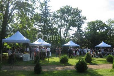 Chemin de terre bordé d'arbres verdoyants dans un paysage naturel calme.