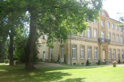Chemin de terre bordé d'arbres verdoyants dans un paysage naturel calme.