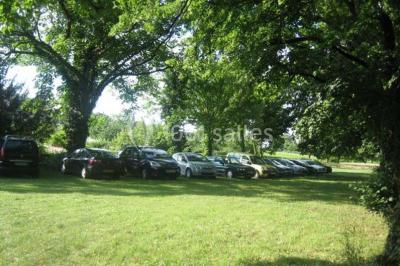 Chemin de terre bordé d'arbres verdoyants dans un paysage naturel calme.