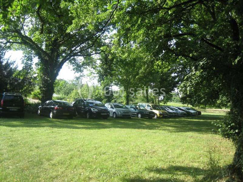 Voitures garées sur une pelouse ombragée entourée d'arbres dans un cadre naturel.