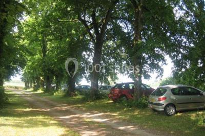 Chemin de terre bordé d'arbres verdoyants dans un paysage naturel calme.