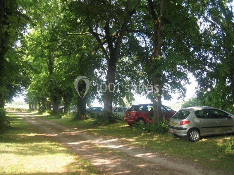 Voitures garées le long d'un chemin de terre ombragé bordé d'arbres en pleine campagne.