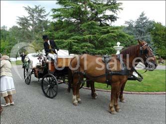 Location salle Montégut-Arros (Gers) - Domaine Arros #4