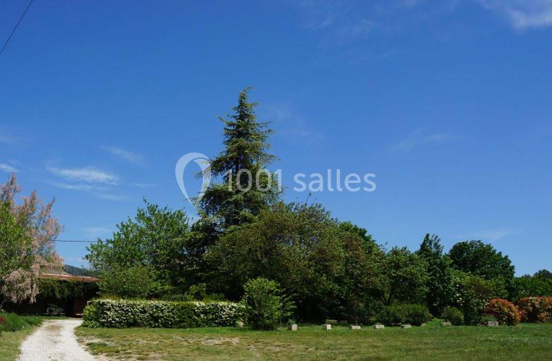 Jardin verdoyant avec arbres, arbustes et pelouse sous un ciel bleu dégagé.