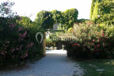 Blason sculpté en pierre, usé par le temps, fixé sur un mur ancien avec des branches visibles au-dessus.