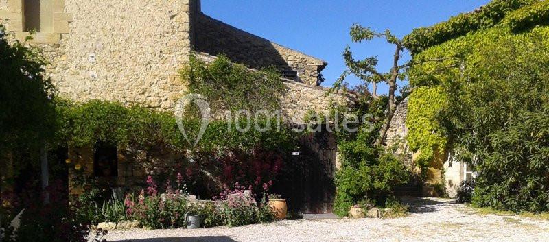 Cour ensoleillée avec façade en pierre, plantes grimpantes, fleurs colorées et arbres verdoyants.