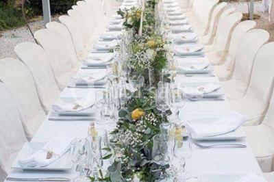 Blason sculpté en pierre, usé par le temps, fixé sur un mur ancien avec des branches visibles au-dessus.