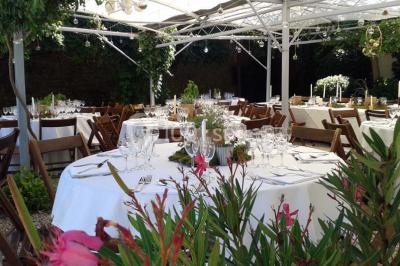Blason sculpté en pierre, usé par le temps, fixé sur un mur ancien avec des branches visibles au-dessus.