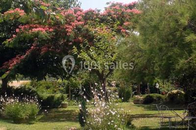 Blason sculpté en pierre, usé par le temps, fixé sur un mur ancien avec des branches visibles au-dessus.
