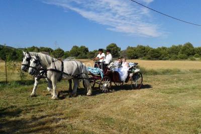 Blason sculpté en pierre, usé par le temps, fixé sur un mur ancien avec des branches visibles au-dessus.