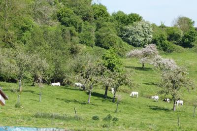 Paysage rural avec une ferme traditionnelle entourée de champs verdoyants et d'arbres sous un ciel nuageux.