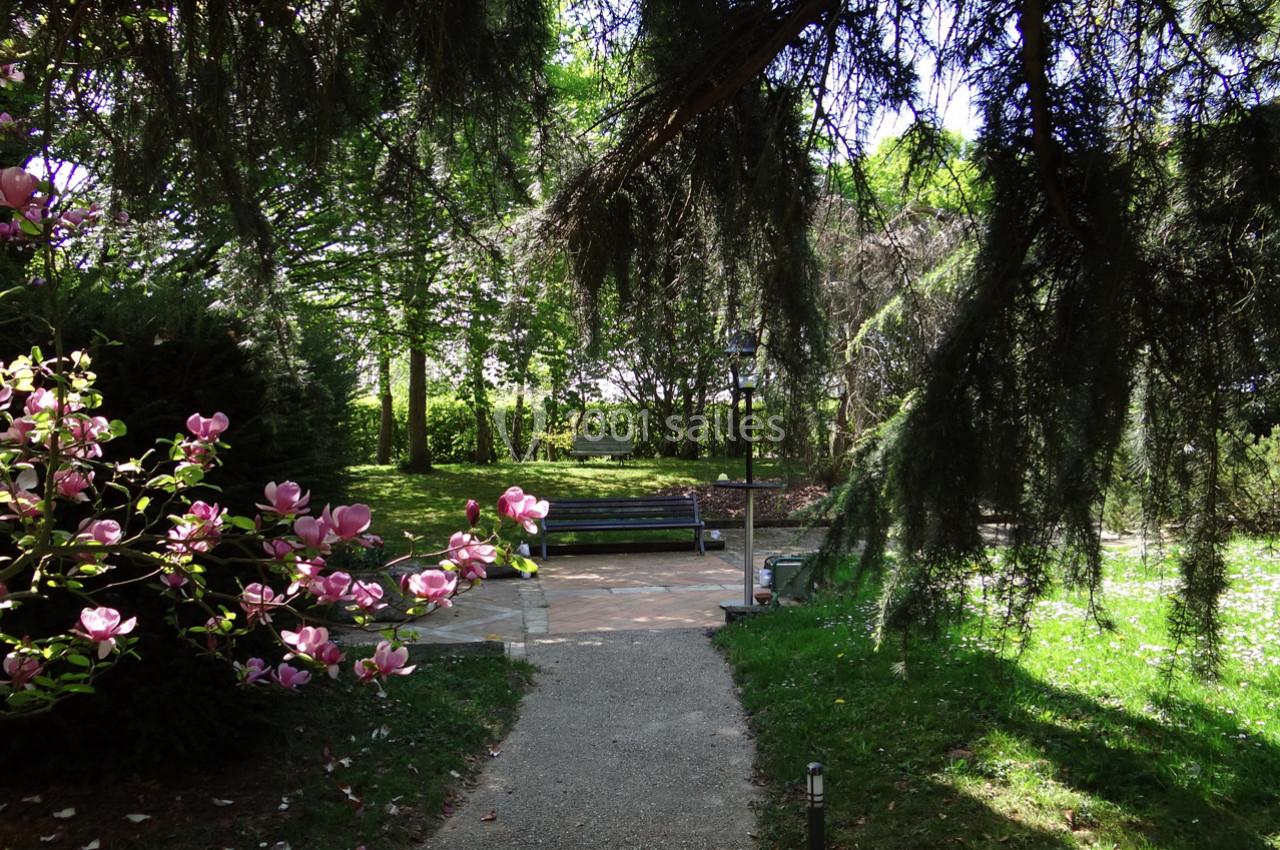 Allée bordée de magnolias et d'arbres menant à un banc dans un parc verdoyant et ensoleillé.
