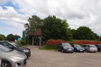 Lit simple avec couvre-lit fleuri dans une chambre lumineuse, éclairée par une lampe de chevet près d'une fenêtre.
