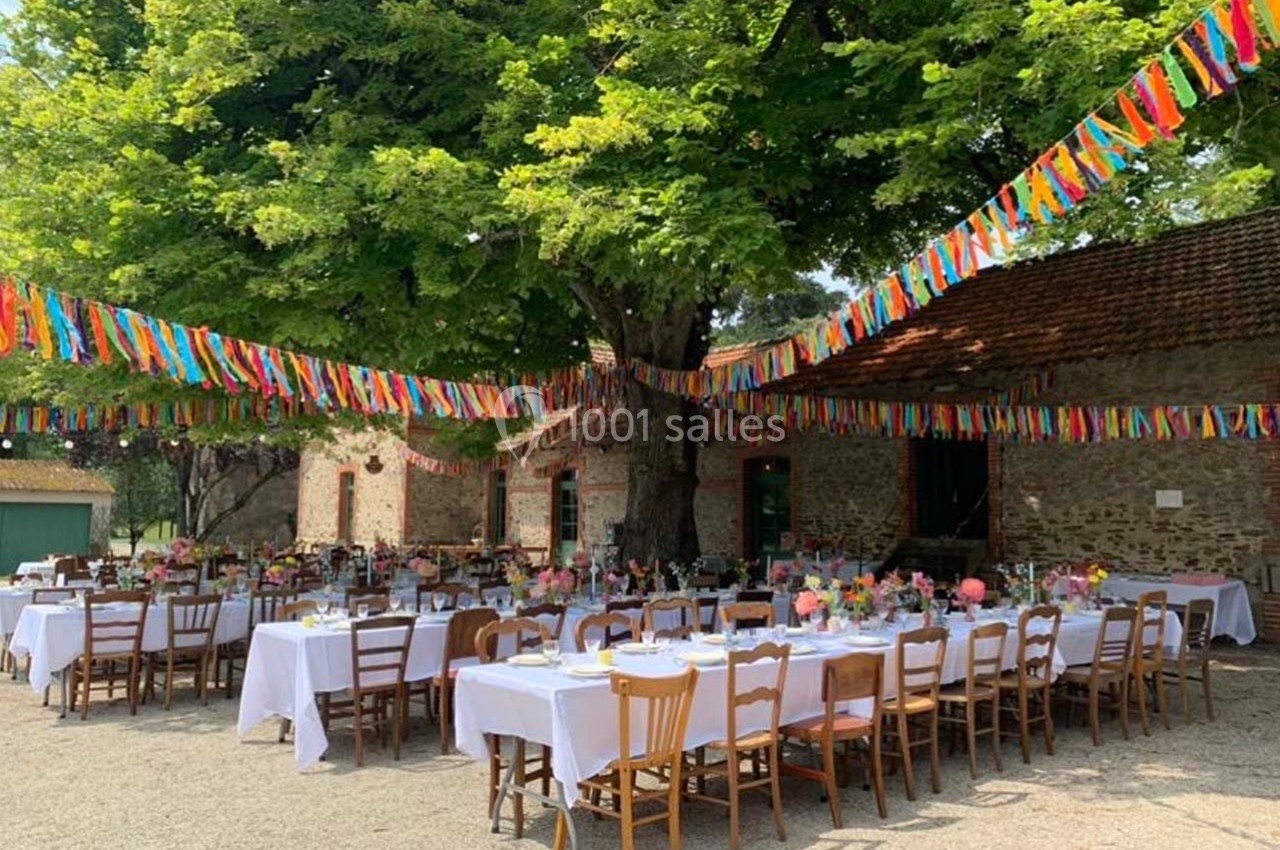 Tables dressées en extérieur sous un grand arbre, décorées de nappes blanches, fleurs et guirlandes colorées.