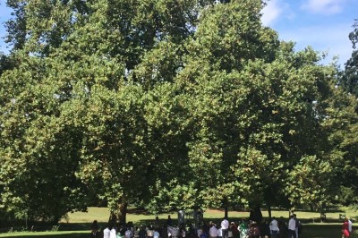 Un groupe de personnes rassemblées sous de grands arbres devant des bâtiments en pierre par une journée ensoleillée.