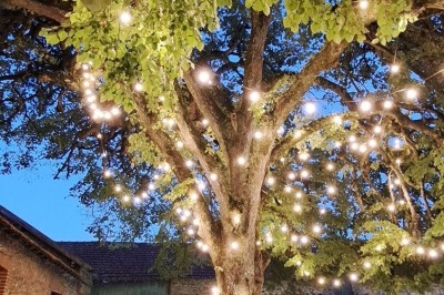 Un groupe de personnes rassemblées sous de grands arbres devant des bâtiments en pierre par une journée ensoleillée.