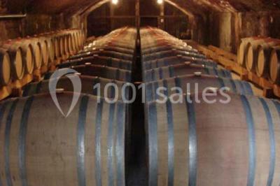 Location salle Villié-Morgon (Rhône) - Château de Bellevue #20