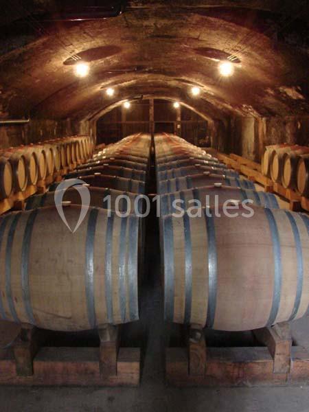 Location salle Villié-Morgon (Rhône) - Château de Bellevue #19