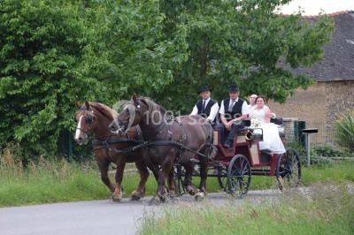 Cabane en bois perchée dans les arbres avec une passerelle en bois, entourée de végétation automnale et deux vélos au…