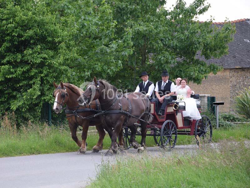Un couple en tenue de mariage est assis dans une calèche tirée par deux chevaux sur une route de campagne.