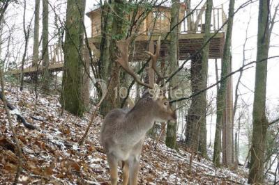 Location salle Janzé (Ille-et-Vilaine) - Le Clos du Chatelier #24