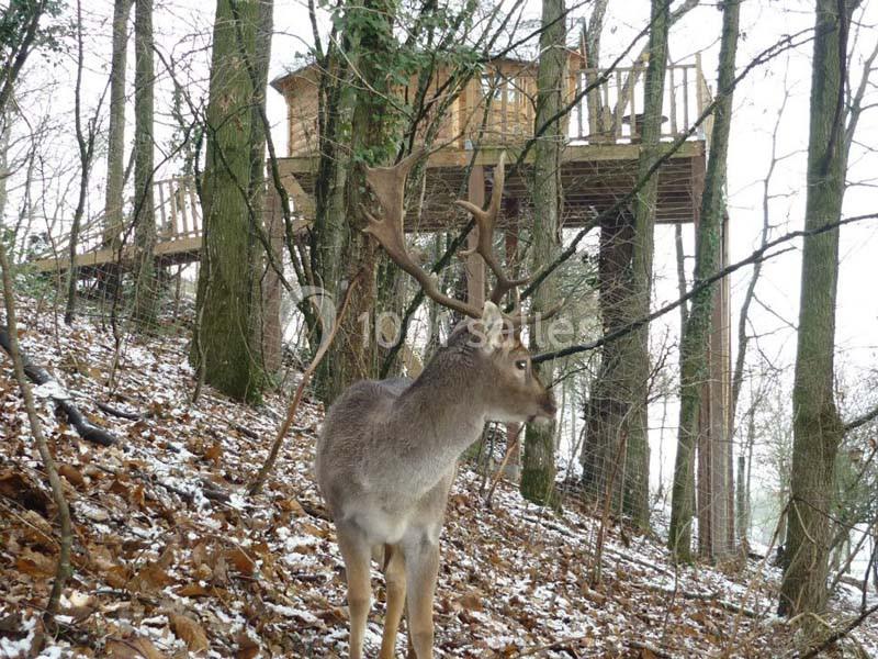 Location salle Janzé (Ille-et-Vilaine) - Le Clos du Chatelier #22