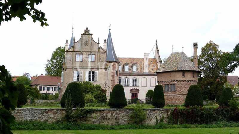 Location salle Osthoffen (Bas-Rhin) - Château D’osthoffen #3