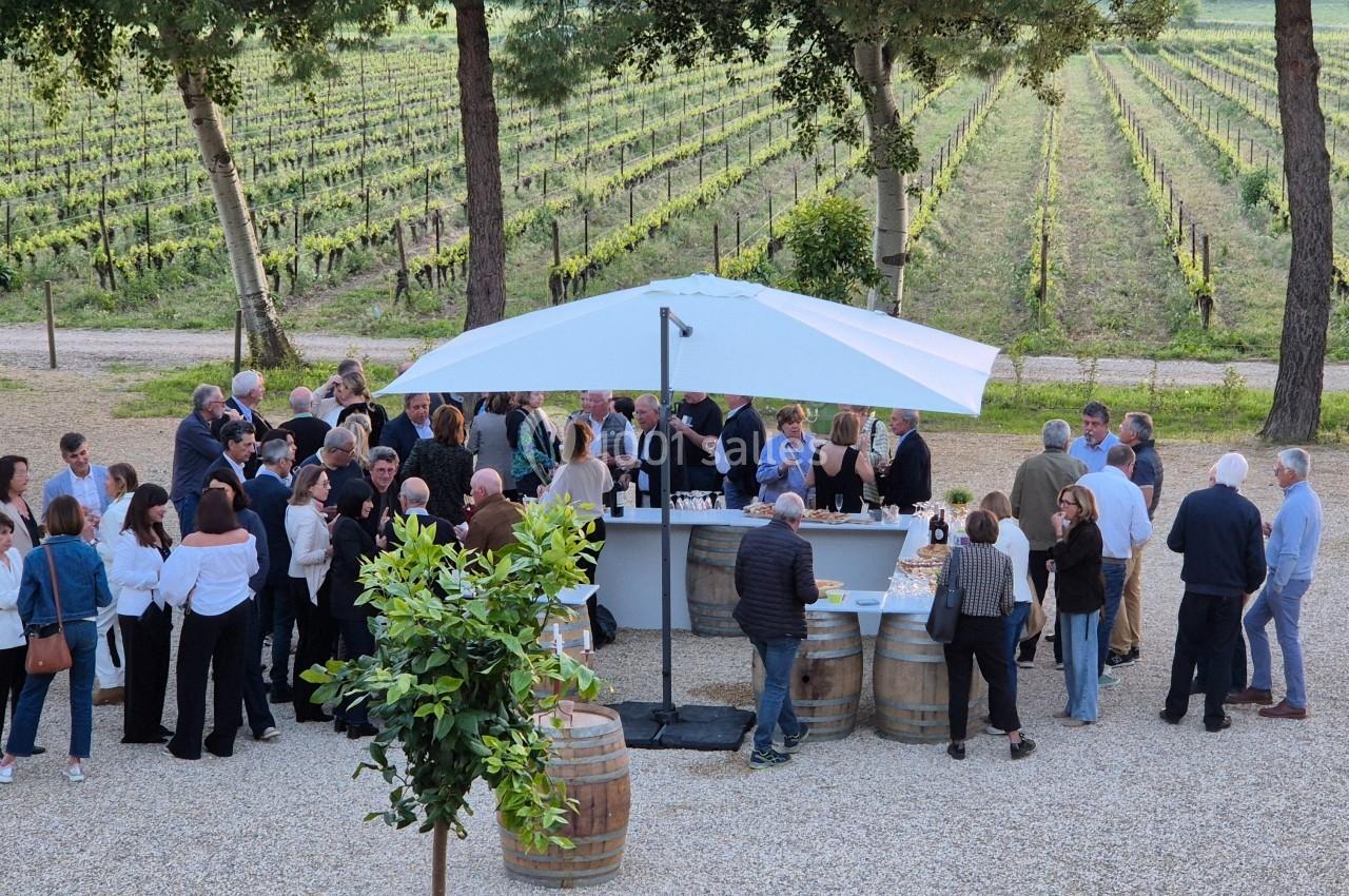 Groupe de personnes rassemblées autour d'un bar extérieur sous un parasol, près de vignes et d'arbres.