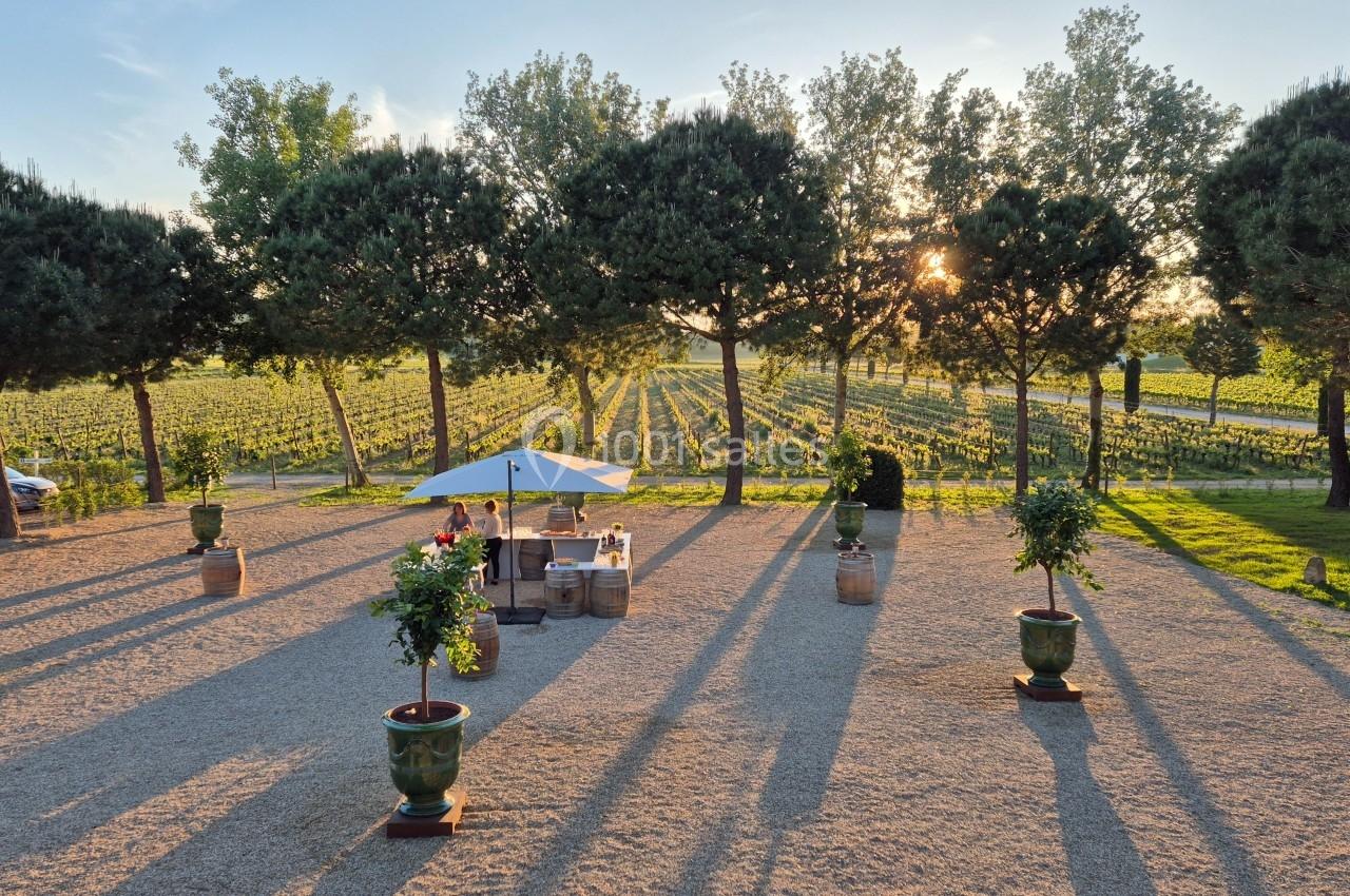 Vue d'un vignoble au coucher du soleil avec une terrasse ombragée, des arbres alignés et des tables sous un parasol.