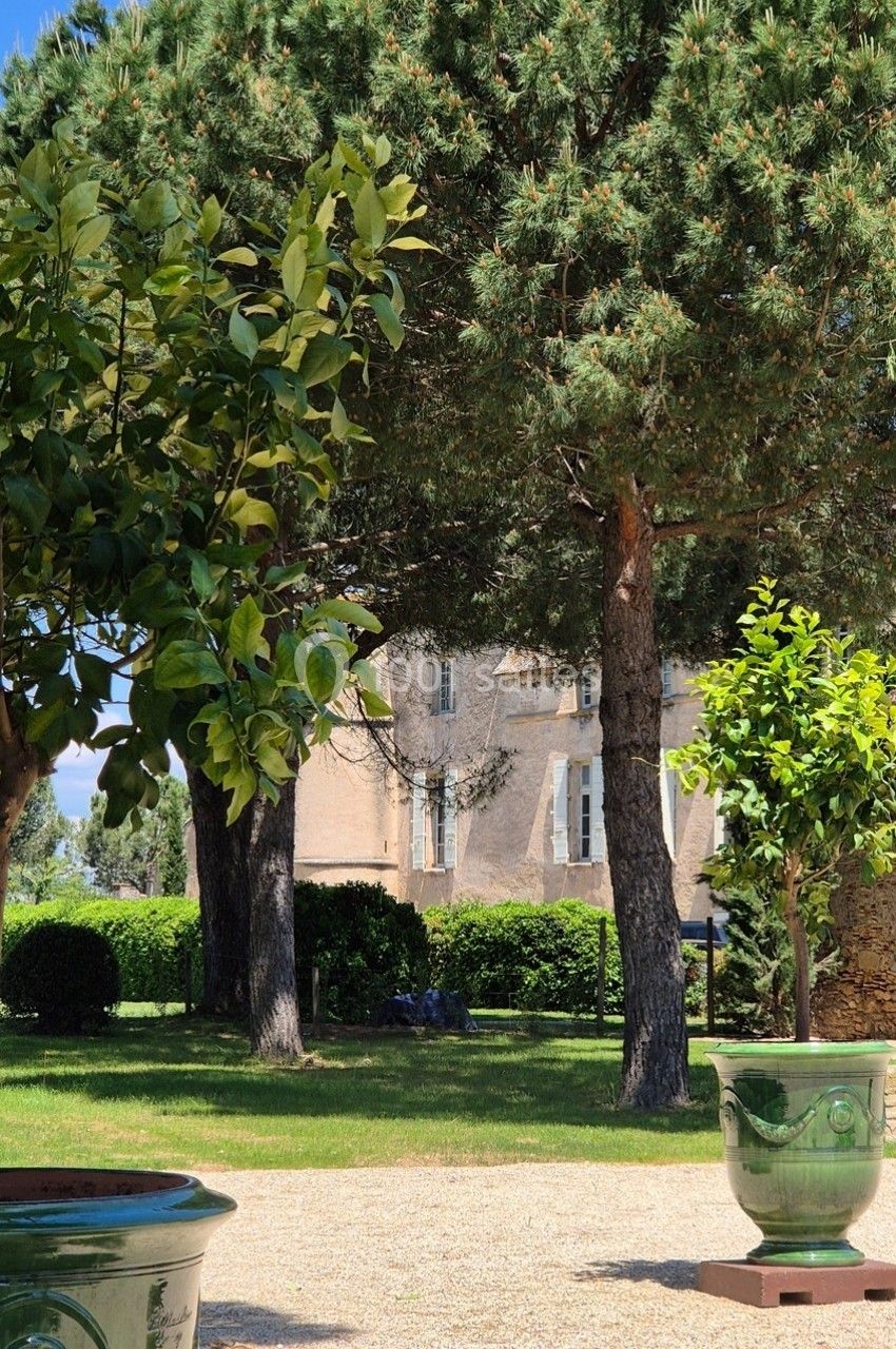 Vue d'un jardin avec des arbres, des pots en céramique verte et une bâtisse en arrière-plan sous un ciel bleu.