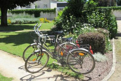 Location salle Saint-Martin-de-la-Place (Maine-et-Loire) - Hôtel De La Blairie #23