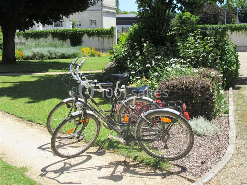 Location salle Saint-Martin-de-la-Place (Maine-et-Loire) - Hôtel De La Blairie #22