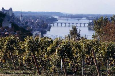 Location salle Saint-Martin-de-la-Place (Maine-et-Loire) - Hôtel De La Blairie #23