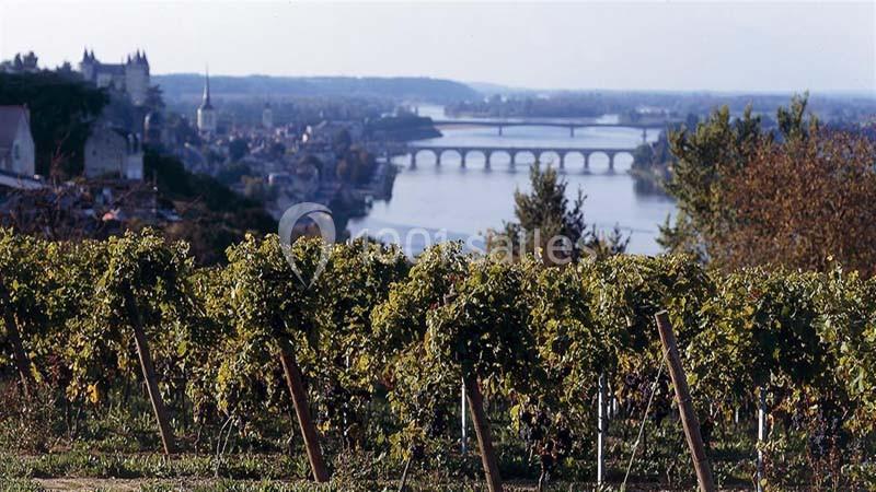 Location salle Saint-Martin-de-la-Place (Maine-et-Loire) - Hôtel De La Blairie #23