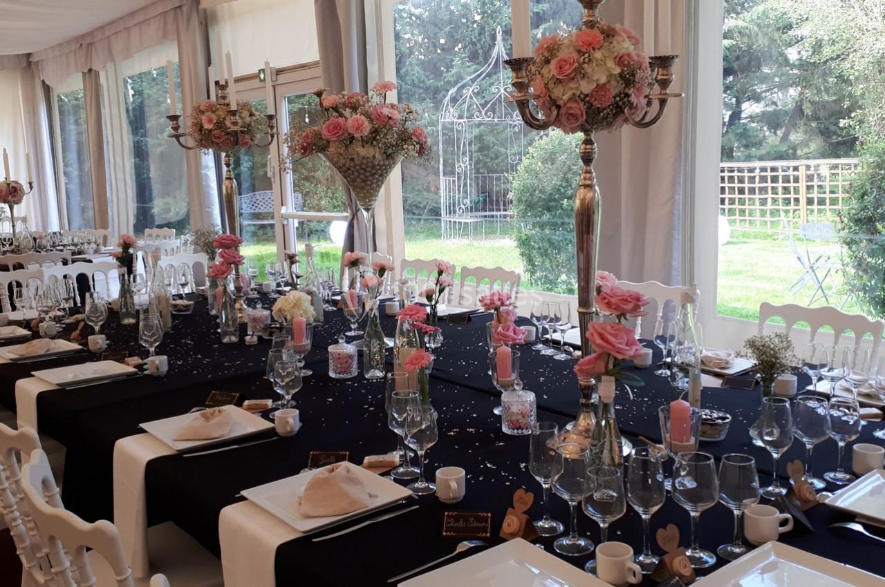 Location salle Cléré-sur-Layon (Maine-et-Loire) - Château des Landes #29