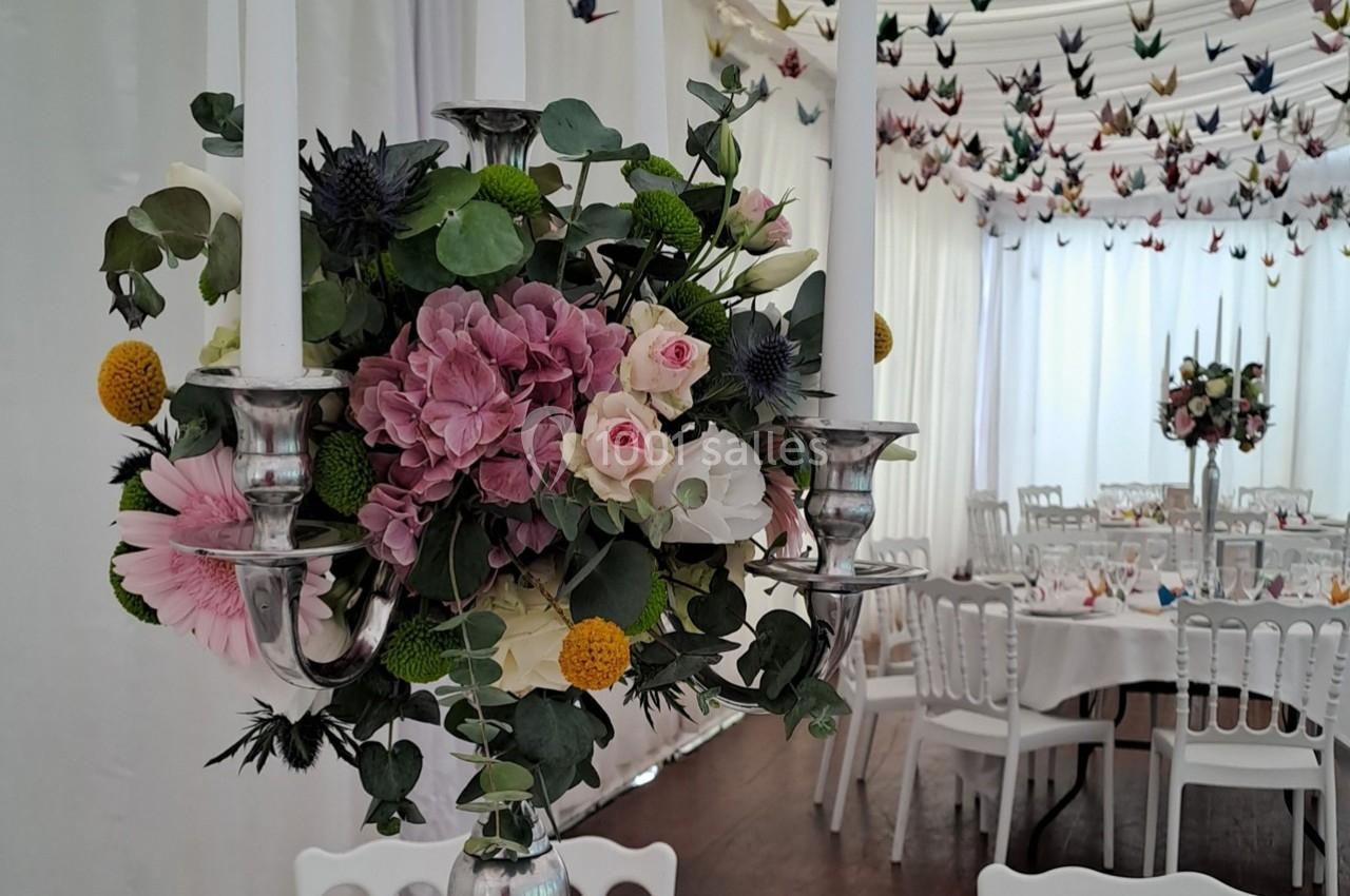 Location salle Cléré-sur-Layon (Maine-et-Loire) - Château des Landes #8