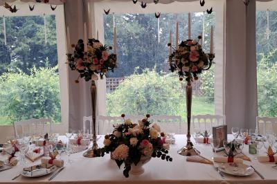 Location salle Cléré-sur-Layon (Maine-et-Loire) - Château des Landes #42