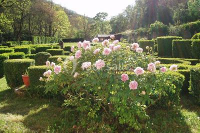 Location salle Larroque (Tarn) - Château De La Vère #18