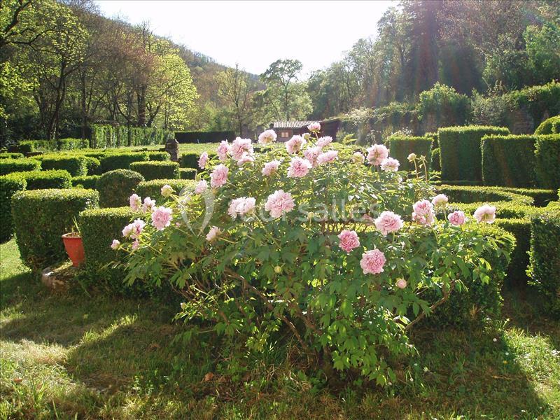 Location salle Larroque (Tarn) - Château De La Vère #6