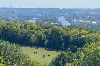 Location salle Follainville-Dennemont (Yvelines) - Domaine De La Tour Duval #26