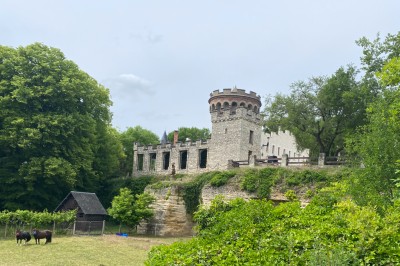 Location salle Follainville-Dennemont (Yvelines) - Domaine De La Tour Duval #26